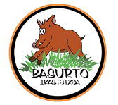 Basurto ikastetxea